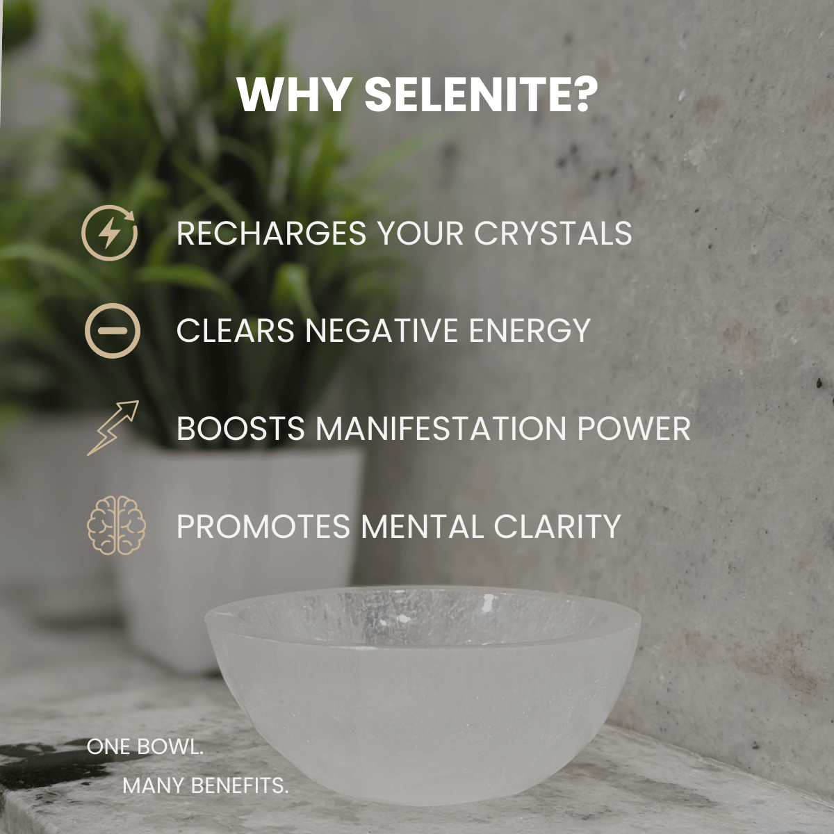 Elite Astro-Vastu Selenite Money Bowl – Limited Edition