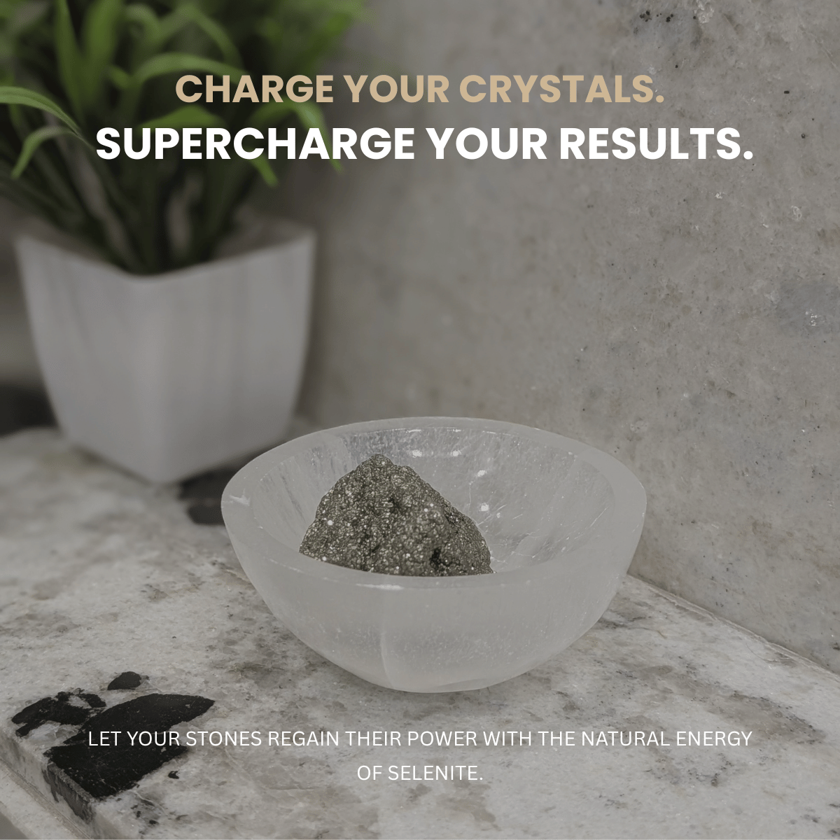 Elite Astro-Vastu Selenite Money Bowl – Limited Edition