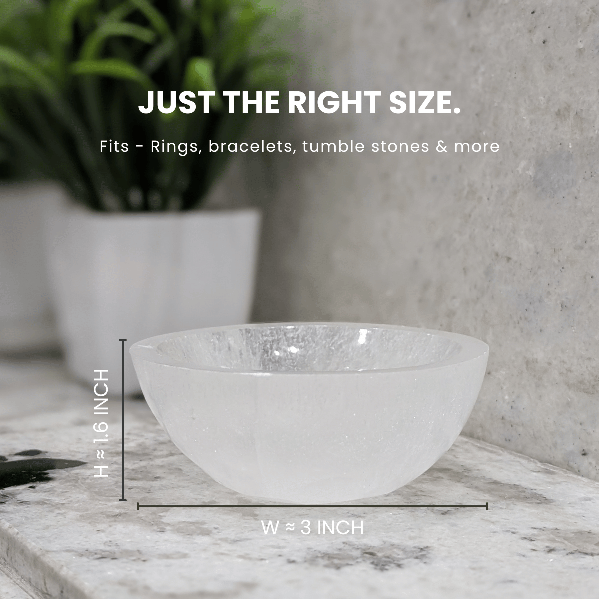Elite Astro-Vastu Selenite Money Bowl – Limited Edition