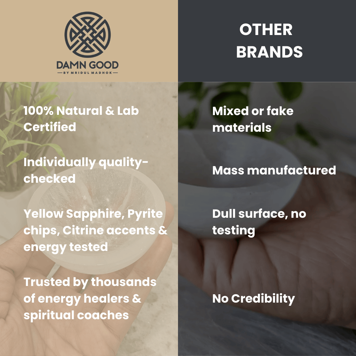 Elite Astro-Vastu Selenite Money Bowl – Limited Edition