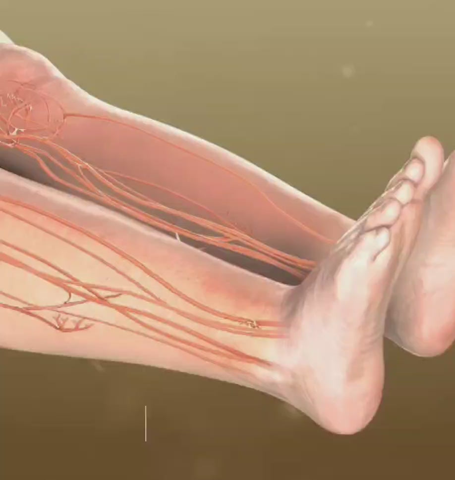 Detox Foot Patch- 10 Patches - Better Sleep, remove body toxins