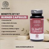 DamnGood Fat Burner - Garcinia Cambogia- 120 Caps (Pack Of 2)