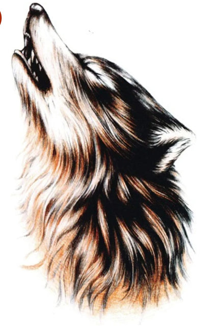 3D Big Wolf Face Sticker tattoo Size 21x15CM - 1PC.
