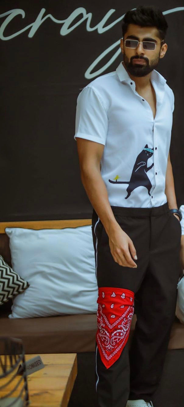 Pack of 3 - Stylish Stripped shirts combo with Cool Cat Shirt